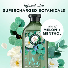 Herbal Essences Scalp + Purify Eucalyptus Shampoo & Conditioner Dual Pack