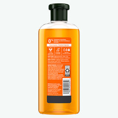 Body Envy Volumizing Shampoo
