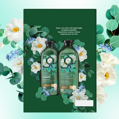 Herbal Essences Scalp + Purify Eucalyptus Shampoo & Conditioner Dual Pack