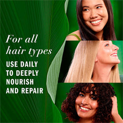 Repairing Leave-in Conditioner, Certified Pure Plants, with Aloe and Camellia Flower Oil