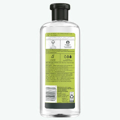 Clarifying Tea Tree Shampoo